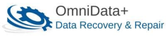 OmniDataPlus